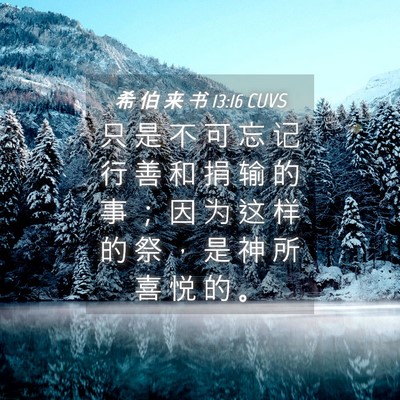 Picture 04 - 希 伯 来 书 13:16 CUVS - 只 是 不 可 忘 记 行 善 和 捐 输 的 - Bible Verse Picture
