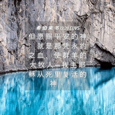 Picture 04 - 希 伯 来 书 13:20 CUVS - 但 愿 赐 平 安 的 神 ， 就 是 那 凭 - Bible Verse Picture