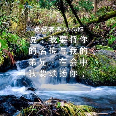 Picture 04 - 希 伯 来 书 2:12 CUVS - 说 ： 我 要 将 你 的 名 传 与 我 的 - Bible Verse Picture
