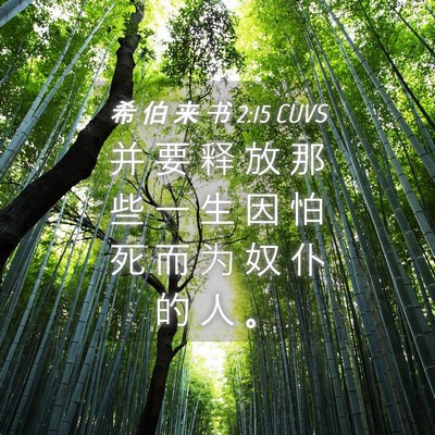 Picture 04 - 希 伯 来 书 2:15 CUVS - 并 要 释 放 那 些 一 生 因 怕 死 而 - Bible Verse Picture