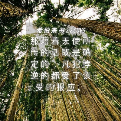 Picture 04 - 希 伯 来 书 2:2 CUVS - 那 藉 着 天 使 所 传 的 话 既 是 确 - Bible Verse Picture