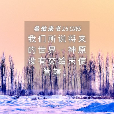 Picture 04 - 希 伯 来 书 2:5 CUVS - 我 们 所 说 将 来 的 世 界 ， 神 原 - Bible Verse Picture