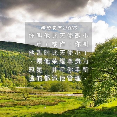 Picture 04 - 希 伯 来 书 2:7 CUVS - 你 叫 他 比 天 使 微 小 一 点 （ 或 - Bible Verse Picture