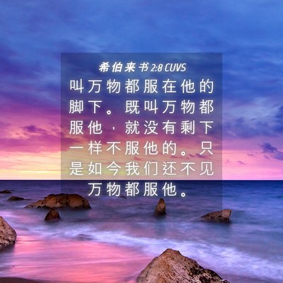 Picture 04 - 希 伯 来 书 2:8 CUVS - 叫 万 物 都 服 在 他 的 脚 下 。 既 - Bible Verse Picture