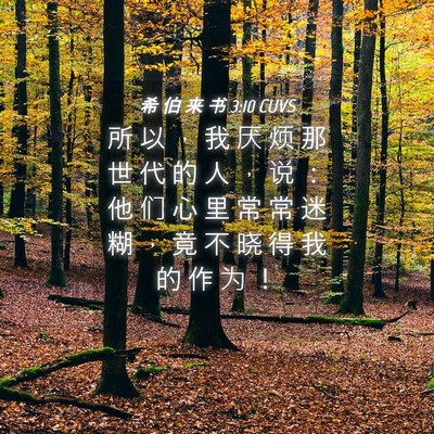Picture 04 - 希 伯 来 书 3:10 CUVS - 所 以 ， 我 厌 烦 那 世 代 的 人 ， - Bible Verse Picture