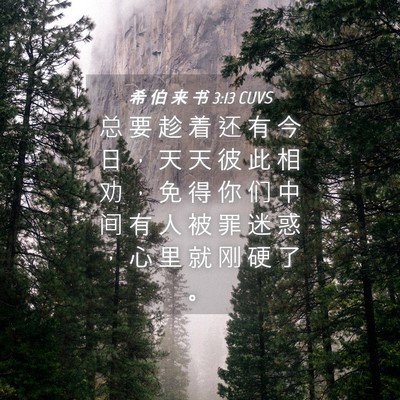 Picture 04 - 希 伯 来 书 3:13 CUVS - 总 要 趁 着 还 有 今 日 ， 天 天 彼 - Bible Verse Picture