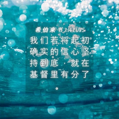 Picture 04 - 希 伯 来 书 3:14 CUVS - 我 们 若 将 起 初 确 实 的 信 心 坚 - Bible Verse Picture