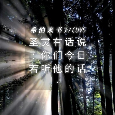 Picture 04 - 希 伯 来 书 3:7 CUVS - 圣 灵 有 话 说 ： 你 们 今 日 若 听 - Bible Verse Picture