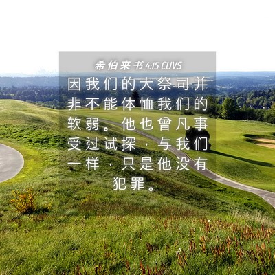 Picture 04 - 希 伯 来 书 4:15 CUVS - 因 我 们 的 大 祭 司 并 非 不 能 体 - Bible Verse Picture