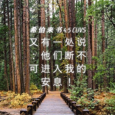 Picture 04 - 希 伯 来 书 4:5 CUVS - 又 有 一 处 说 ： 他 们 断 不 可 进 - Bible Verse Picture