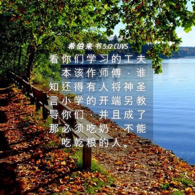 Picture 04 - 希 伯 来 书 5:12 CUVS - 看 你 们 学 习 的 工 夫 ， 本 该 作 - Bible Verse Picture