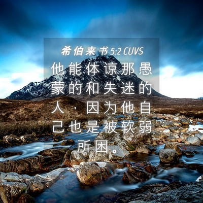 Picture 04 - 希 伯 来 书 5:2 CUVS - 他 能 体 谅 那 愚 蒙 的 和 失 迷 的 - Bible Verse Picture