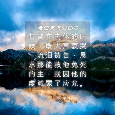 Picture 04 - 希 伯 来 书 5:7 CUVS - 基 督 在 肉 体 的 时 候 ， 既 大 声 - Bible Verse Picture