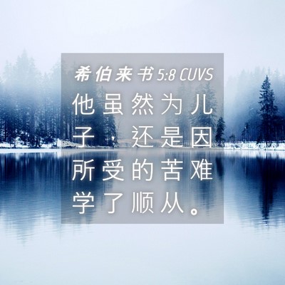 Picture 04 - 希 伯 来 书 5:8 CUVS - 他 虽 然 为 儿 子 ， 还 是 因 所 受 - Bible Verse Picture