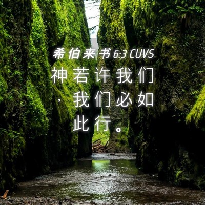 Picture 04 - 希 伯 来 书 6:3 CUVS - 神 若 许 我 们 ， 我 们 必 如 此 行 - Bible Verse Picture