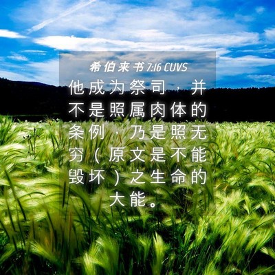 Picture 04 - 希 伯 来 书 7:16 CUVS - 他 成 为 祭 司 ， 并 不 是 照 属 肉 - Bible Verse Picture