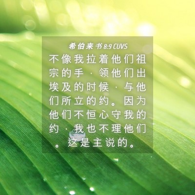 Picture 04 - 希 伯 来 书 8:9 CUVS - 不 像 我 拉 着 他 们 祖 宗 的 手 ， - Bible Verse Picture