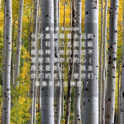 Picture 04 - 希 伯 来 书 9:14 CUVS - 何 况 基 督 藉 着 永 远 的 灵 ， 将 - Bible Verse Picture