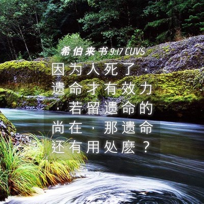 Picture 04 - 希 伯 来 书 9:17 CUVS - 因 为 人 死 了 ， 遗 命 才 有 效 力 - Bible Verse Picture