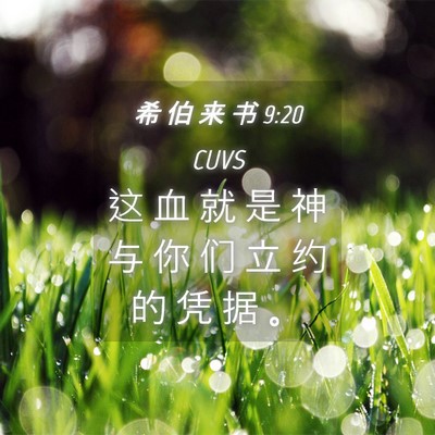Picture 04 - 希 伯 来 书 9:20 CUVS - 这 血 就 是 神 与 你 们 立 约 的 凭 - Bible Verse Picture