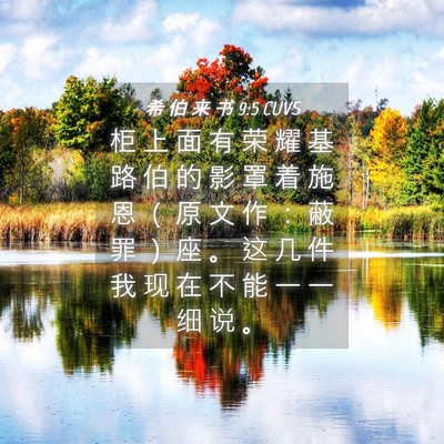 Picture 04 - 希 伯 来 书 9:5 CUVS - 柜 上 面 有 荣 耀 基 路 伯 的 影 罩 - Bible Verse Picture