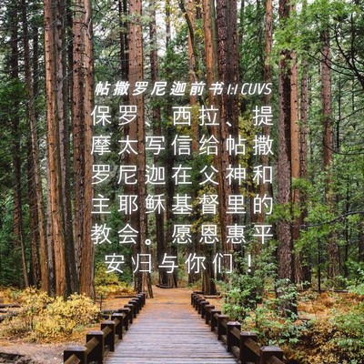 Picture 04 - 帖 撒 罗 尼 迦 前 书 1:1 CUVS - 保 罗 、 西 拉 、 提 摩 太 写 信 给 - Bible Verse Picture