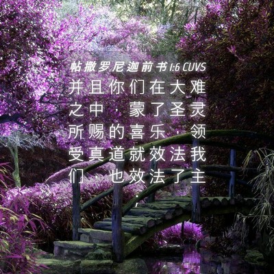 Picture 04 - 帖 撒 罗 尼 迦 前 书 1:6 CUVS - 并 且 你 们 在 大 难 之 中 ， 蒙 了 - Bible Verse Picture