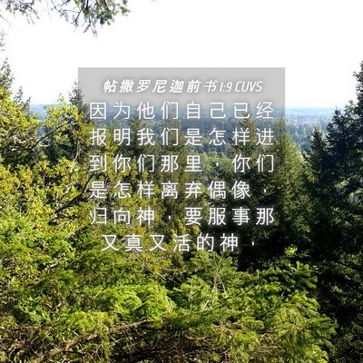 Picture 04 - 帖 撒 罗 尼 迦 前 书 1:9 CUVS - 因 为 他 们 自 己 已 经 报 明 我 们 - Bible Verse Picture