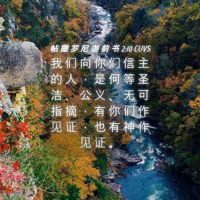 Picture 04 - 帖 撒 罗 尼 迦 前 书 2:10 CUVS - 我 们 向 你 们 信 主 的 人 ， 是 何 - Bible Verse Picture