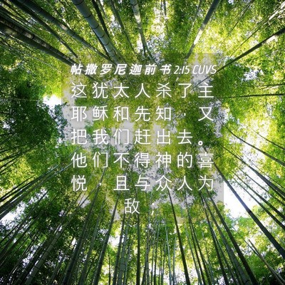 Picture 04 - 帖 撒 罗 尼 迦 前 书 2:15 CUVS - 这 犹 太 人 杀 了 主 耶 稣 和 先 知 - Bible Verse Picture