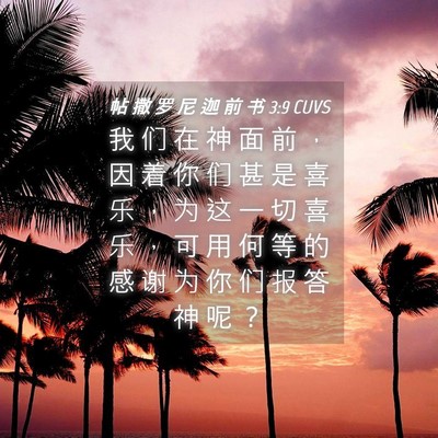 Picture 04 - 帖 撒 罗 尼 迦 前 书 3:9 CUVS - 我 们 在 神 面 前 ， 因 着 你 们 甚 - Bible Verse Picture