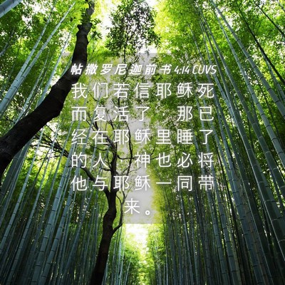 Picture 04 - 帖 撒 罗 尼 迦 前 书 4:14 CUVS - 我 们 若 信 耶 稣 死 而 复 活 了 ， - Bible Verse Picture