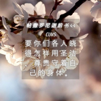 Picture 04 - 帖 撒 罗 尼 迦 前 书 4:4 CUVS - 要 你 们 各 人 晓 得 怎 样 用 圣 洁 - Bible Verse Picture