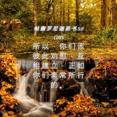 Picture 04 - 帖 撒 罗 尼 迦 前 书 5:11 CUVS - 所 以 ， 你 们 该 彼 此 劝 慰 ， 互 - Bible Verse Picture