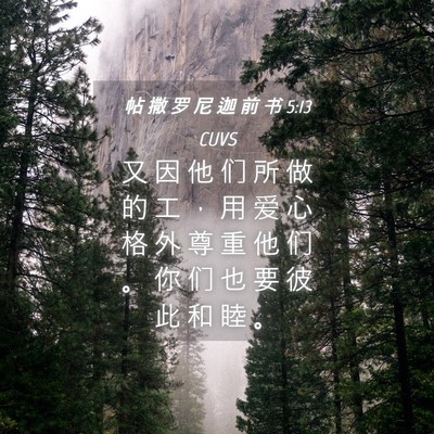 Picture 04 - 帖 撒 罗 尼 迦 前 书 5:13 CUVS - 又 因 他 们 所 做 的 工 ， 用 爱 心 - Bible Verse Picture
