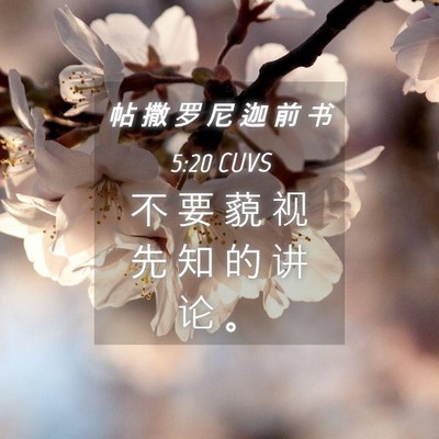 Picture 04 - 帖 撒 罗 尼 迦 前 书 5:20 CUVS - 不 要 藐 视 先 知 的 讲 论 - Bible Verse Picture