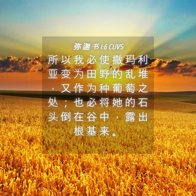 Picture 04 - 弥 迦 书 1:6 CUVS - 所 以 我 必 使 撒 玛 利 亚 变 为 田 - Bible Verse Picture