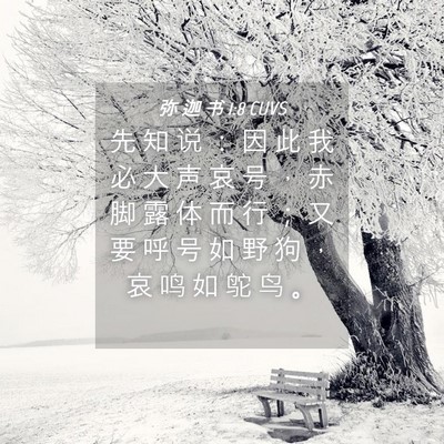 Picture 04 - 弥 迦 书 1:8 CUVS - 先 知 说 ： 因 此 我 必 大 声 哀 号 - Bible Verse Picture