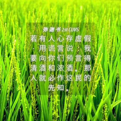 Picture 04 - 弥 迦 书 2:11 CUVS - 若 有 人 心 存 虚 假 ， 用 谎 言 说 - Bible Verse Picture