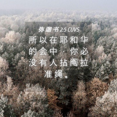 Picture 04 - 弥 迦 书 2:5 CUVS - 所 以 在 耶 和 华 的 会 中 ， 你 必 - Bible Verse Picture