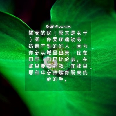 Picture 04 - 弥 迦 书 4:10 CUVS - 锡 安 的 民 （ 原 文 是 女 子 ） 哪 - Bible Verse Picture