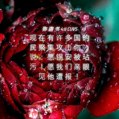 Picture 04 - 弥 迦 书 4:11 CUVS - 现 在 有 许 多 国 的 民 聚 集 攻 击 - Bible Verse Picture