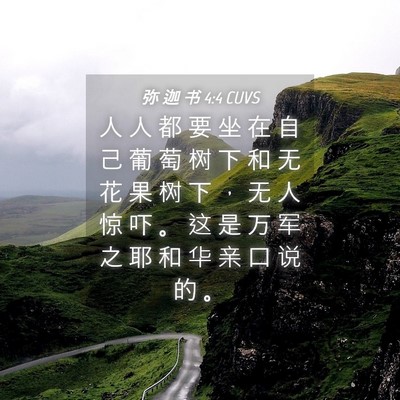 Picture 04 - 弥 迦 书 4:4 CUVS - 人 人 都 要 坐 在 自 己 葡 萄 树 下 - Bible Verse Picture