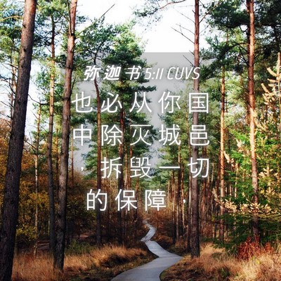 Picture 04 - 弥 迦 书 5:11 CUVS - 也 必 从 你 国 中 除 灭 城 邑 ， 拆 - Bible Verse Picture
