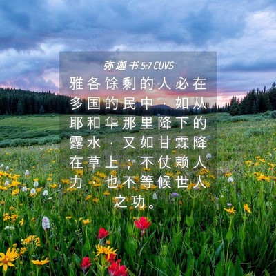 Picture 04 - 弥 迦 书 5:7 CUVS - 雅 各 馀 剩 的 人 必 在 多 国 的 民 - Bible Verse Picture