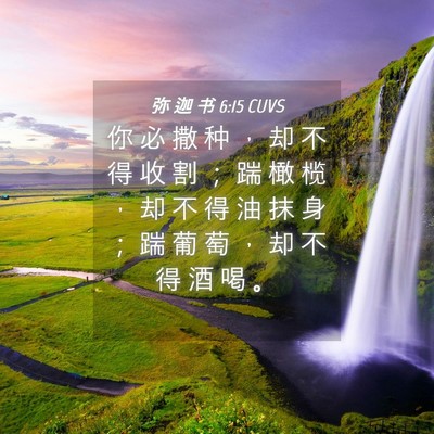 Picture 04 - 弥 迦 书 6:15 CUVS - 你 必 撒 种 ， 却 不 得 收 割 ； 踹 - Bible Verse Picture