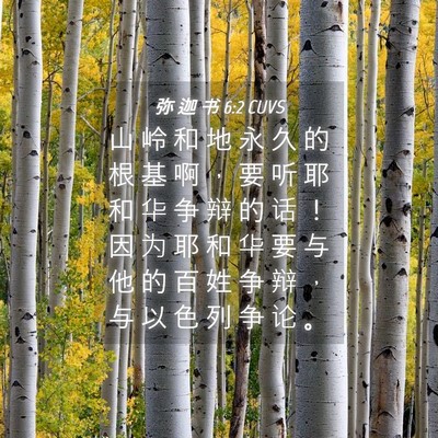 Picture 04 - 弥 迦 书 6:2 CUVS - 山 岭 和 地 永 久 的 根 基 啊 ， 要 - Bible Verse Picture