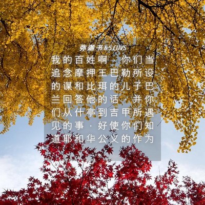 Picture 04 - 弥 迦 书 6:5 CUVS - 我 的 百 姓 啊 ， 你 们 当 追 念 摩 - Bible Verse Picture