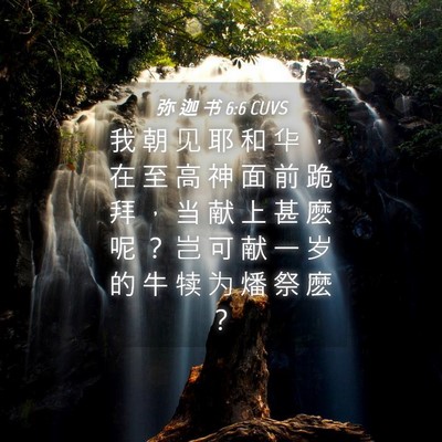 Picture 04 - 弥 迦 书 6:6 CUVS - 我 朝 见 耶 和 华 ， 在 至 高 神 面 - Bible Verse Picture