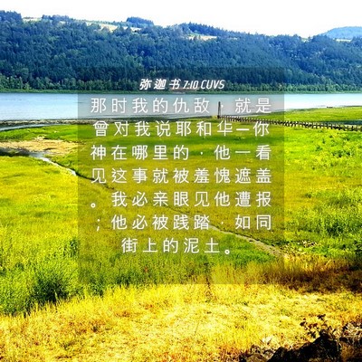 Picture 04 - 弥 迦 书 7:10 CUVS - 那 时 我 的 仇 敌 ， 就 是 曾 对 我 - Bible Verse Picture